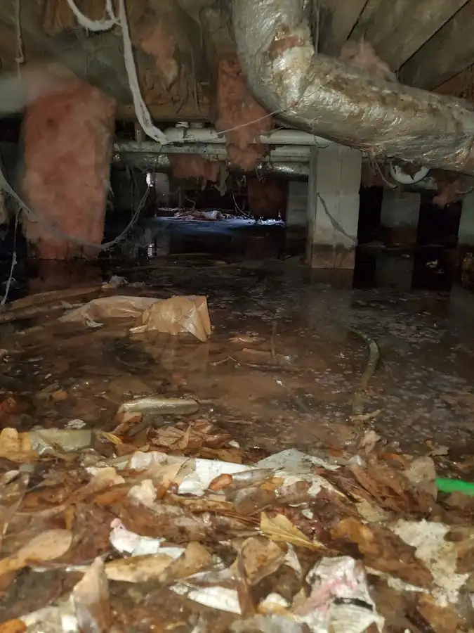 Crawl space flood assessment for Leak Detection & Repair in Stuart